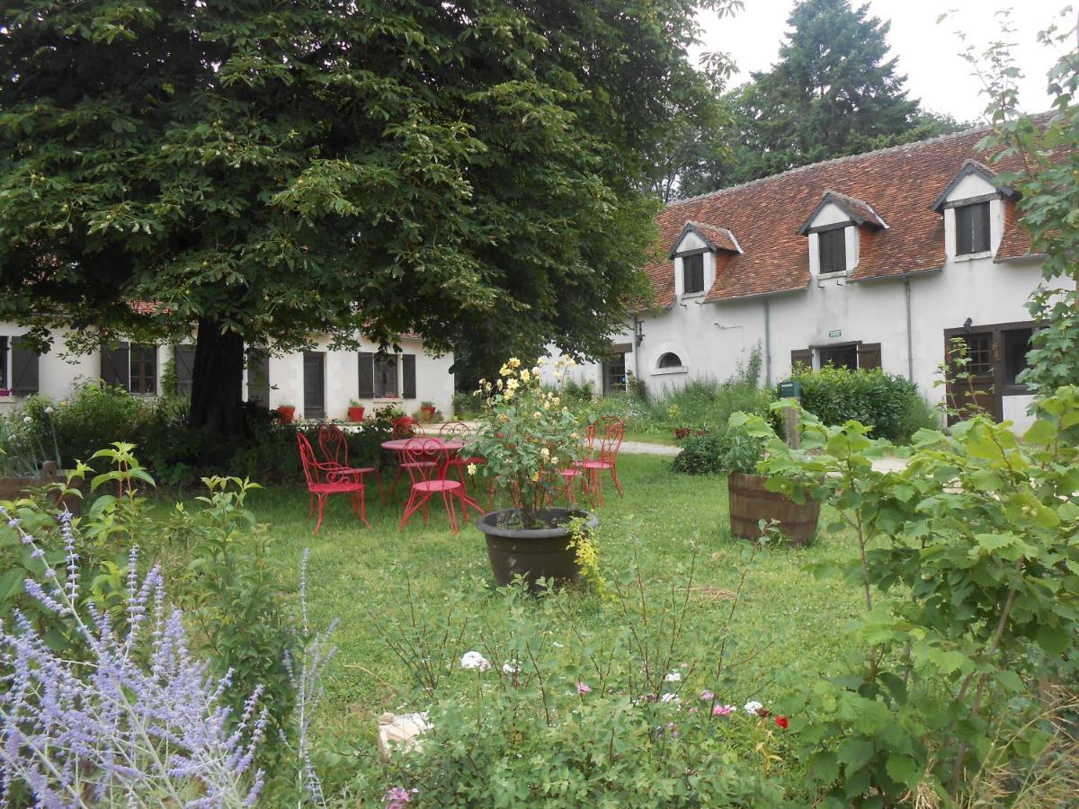 B&B La Ferme Des Bordes Pontlevoy Exterior photo